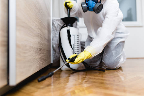 Best Residential Pest Control  in Burke Centre, VA