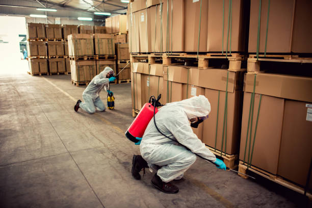 Professional Pest Control in Burke Centre, VA