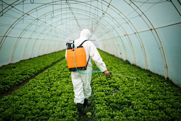 Best Emergency Pest Control  in Burke Centre, VA
