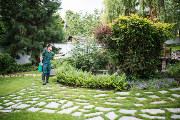 Best Commercial Pest Control Services  in Burke Centre, VA