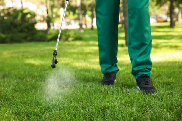 Best Best Pest Control Near Me  in Burke Centre, VA